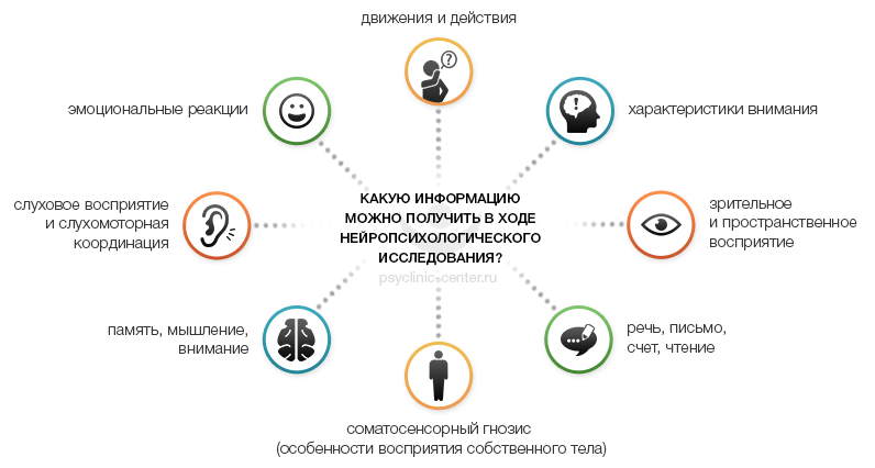 Какую информацию можно получить в ходе нейропсихологического исследования